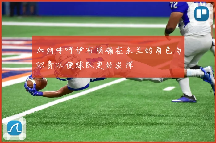 加利呼吁伊布明确在米兰的角色与职责以便球队更好发挥