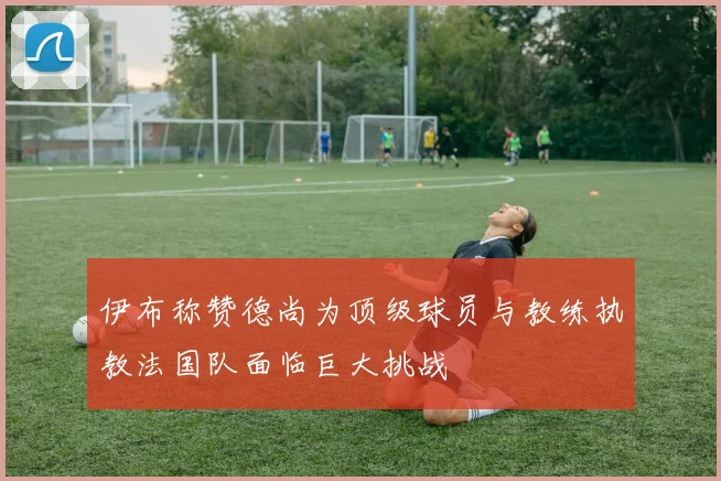 伊布称赞德尚为顶级球员与教练执教法国队面临巨大挑战